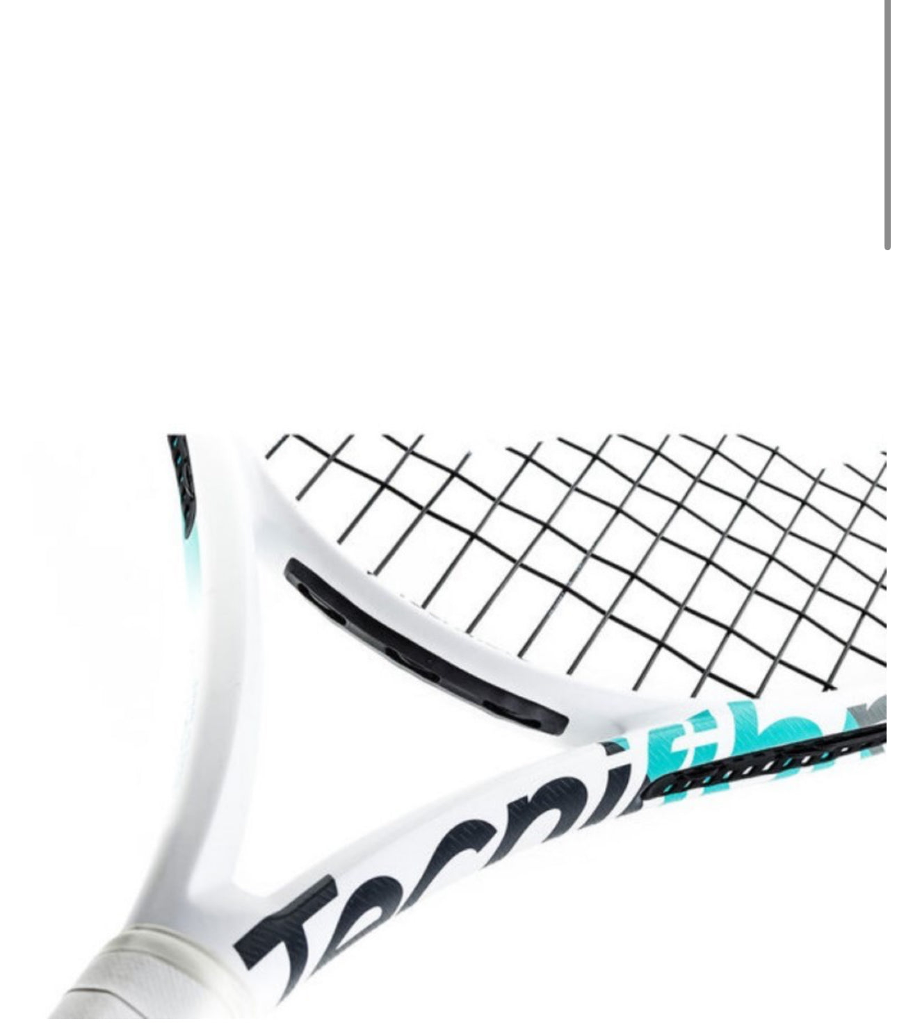 Tecnifibre Tempo 270